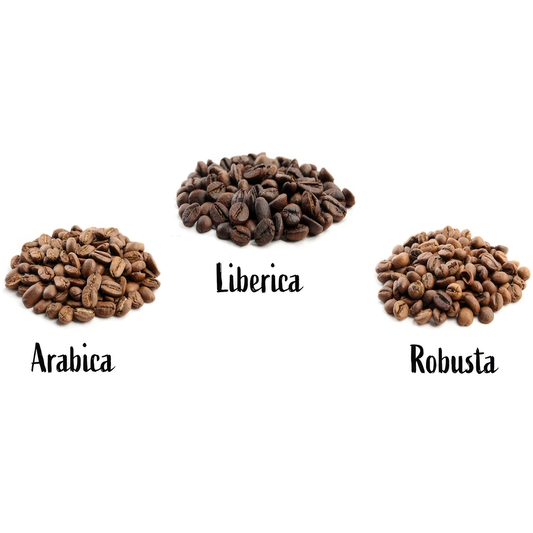 Liberica: The Coffee Bean You've Probably Never Heard Of